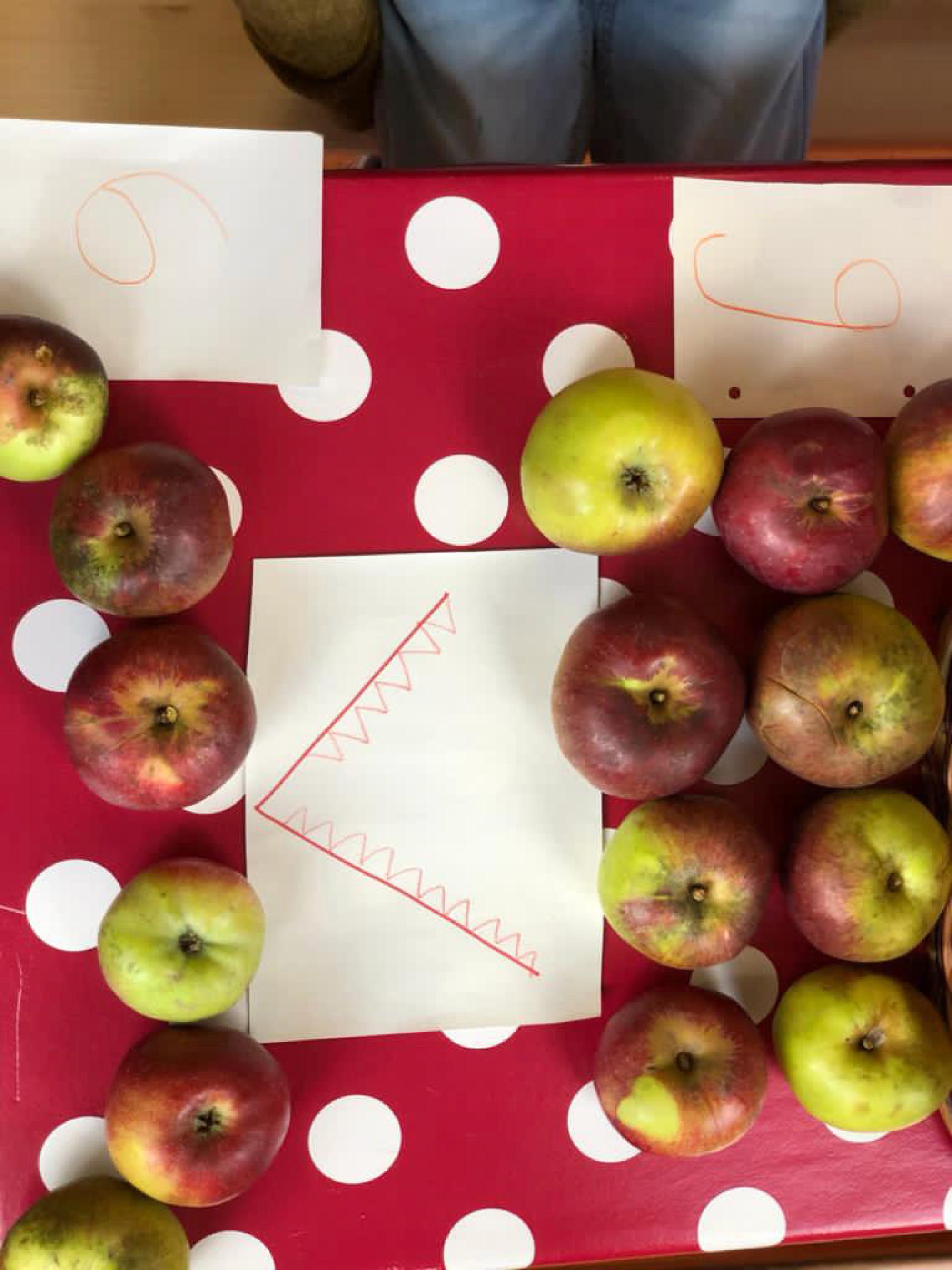 A table with apples and a sheet of paper with a mouth and teeth drawn on it